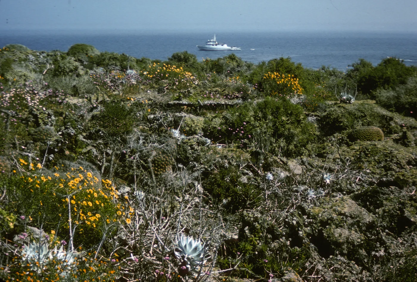 Hassler Cove, San Martin Island, large boat offshore