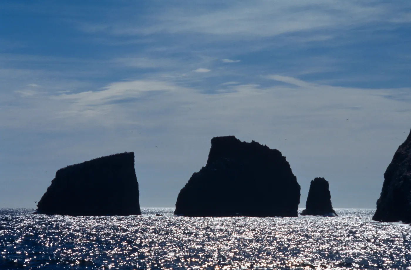 East end, East Anacapa Island