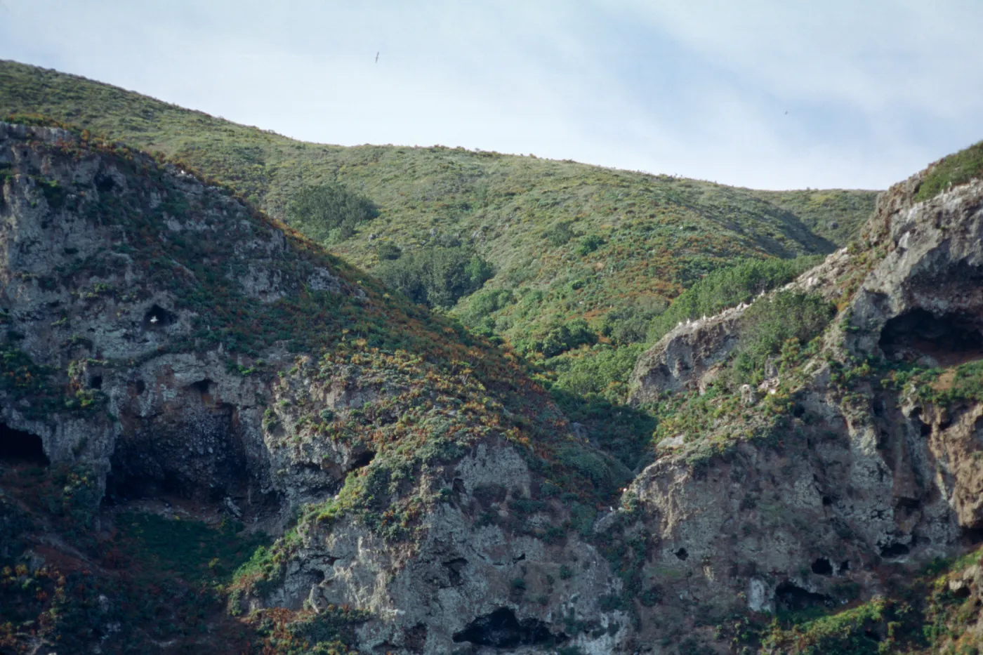 North side of West Anacapa Island