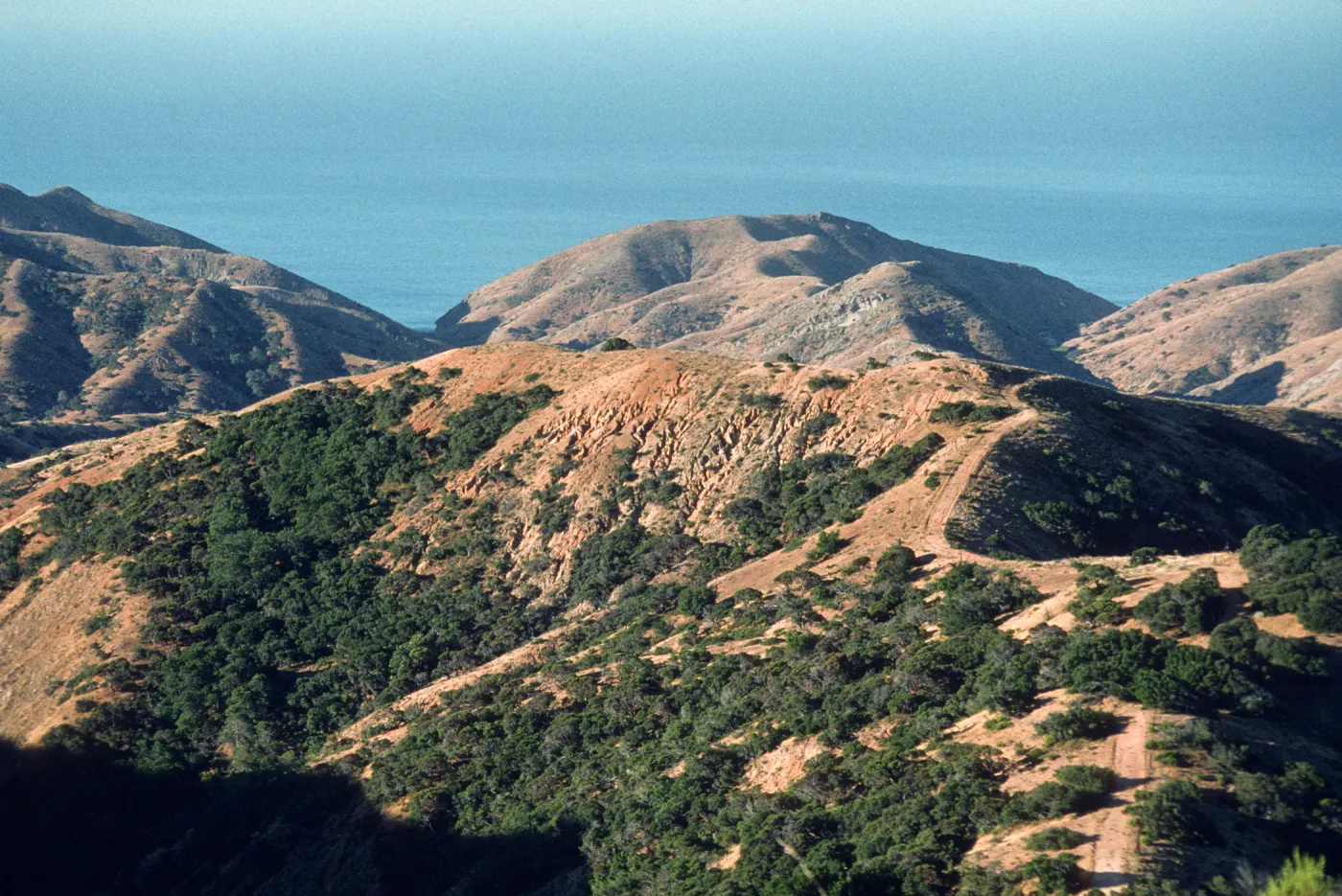 Santa Cruz Island, Ridge between Alamos and Horqueta Canyons