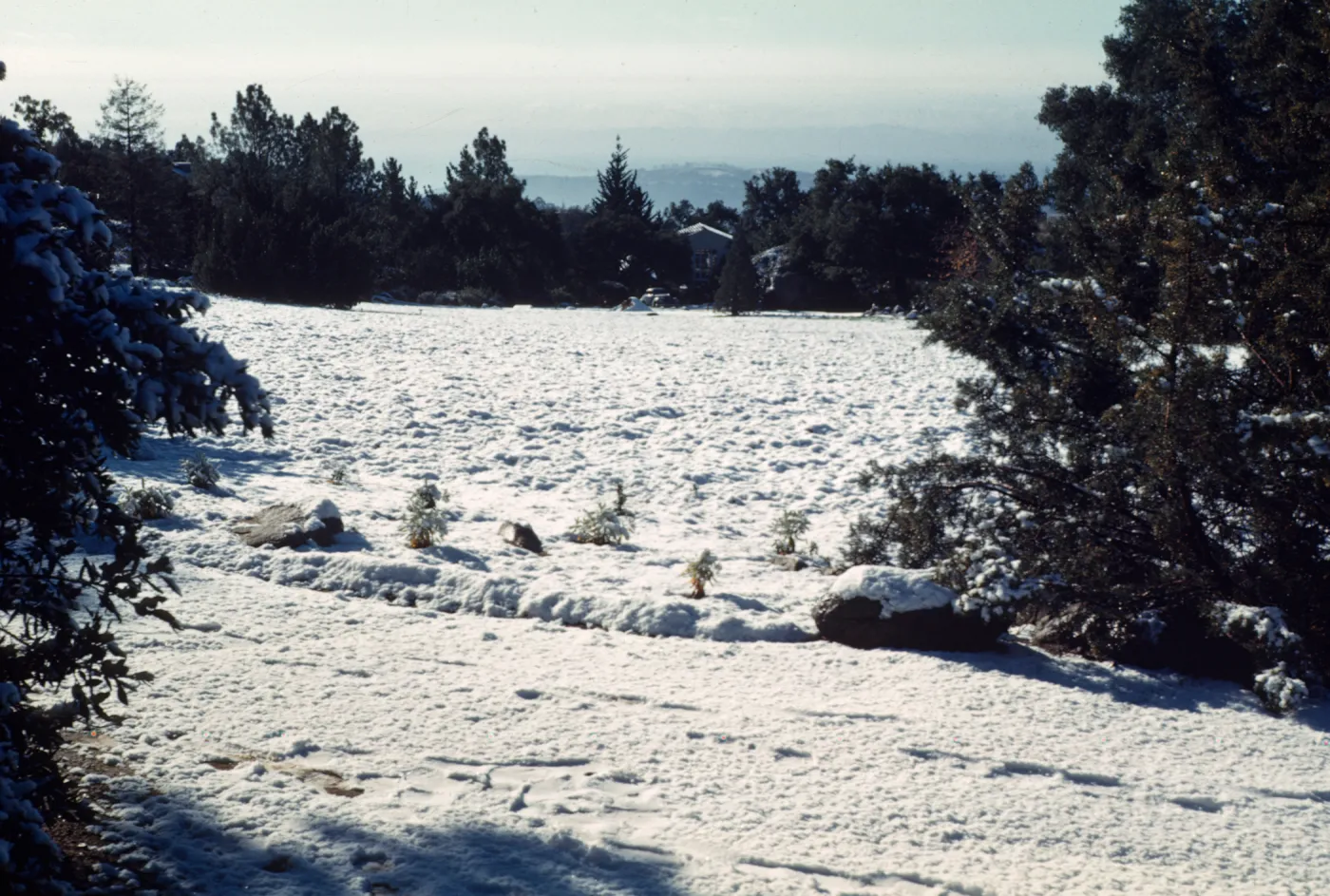 Meadow from north; snow, January 1949