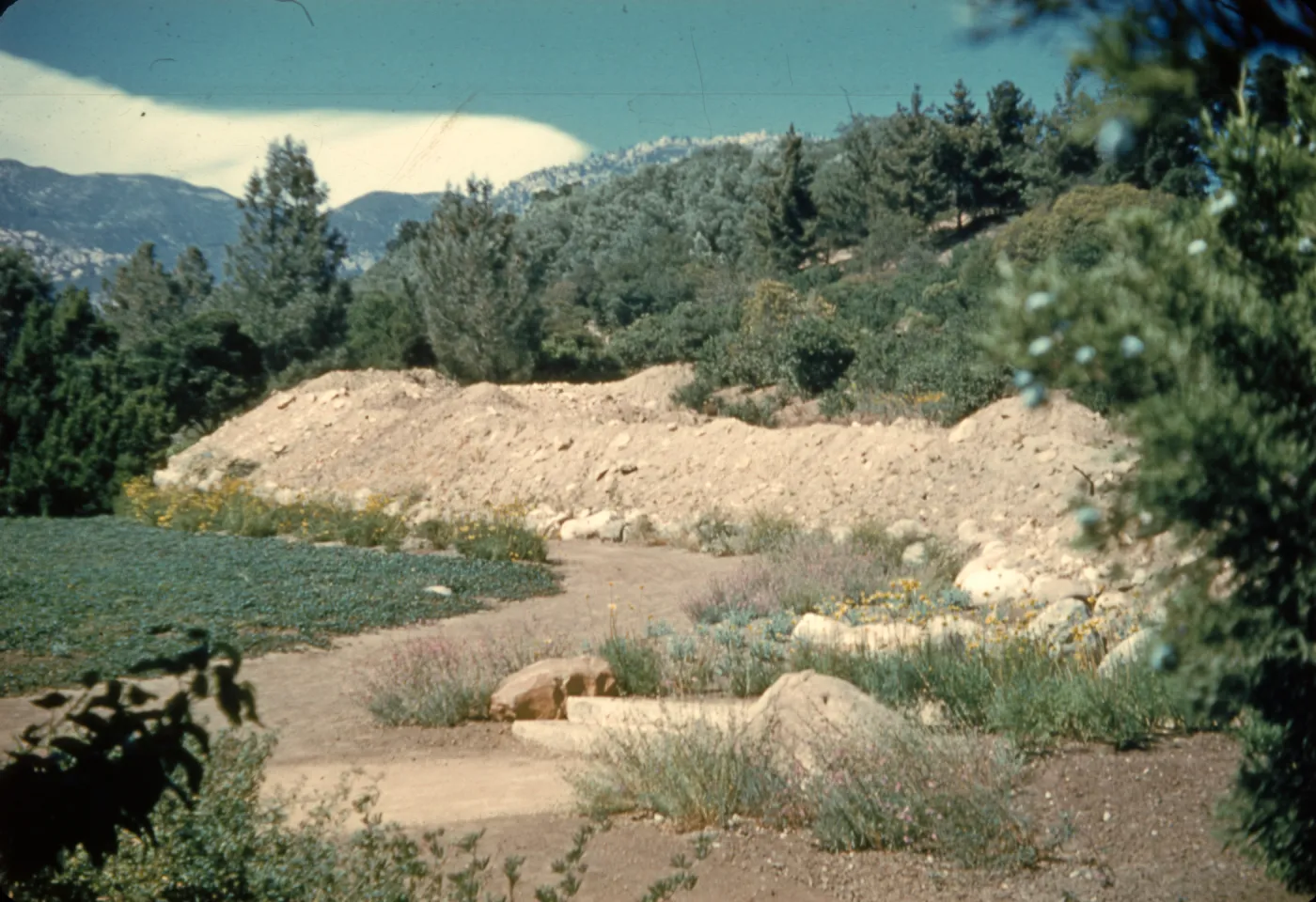 pre parking lot construction, soil berm on the eastern edge of the Meadow, (Meadow 1940s-1950s)