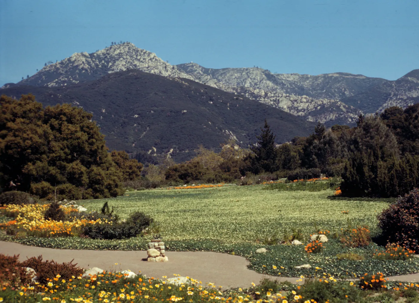 Strawberry Meadow, 1944? (Meadow 1940s-1950s)