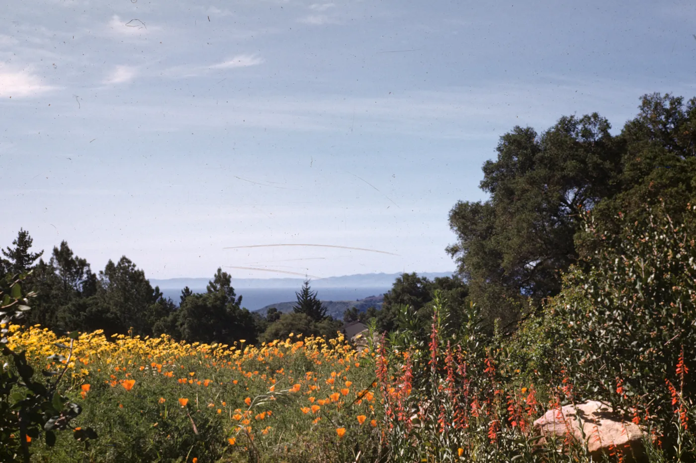 view over the Meadow to Santa Cruz Island; (Meadow 1940s-1950s)