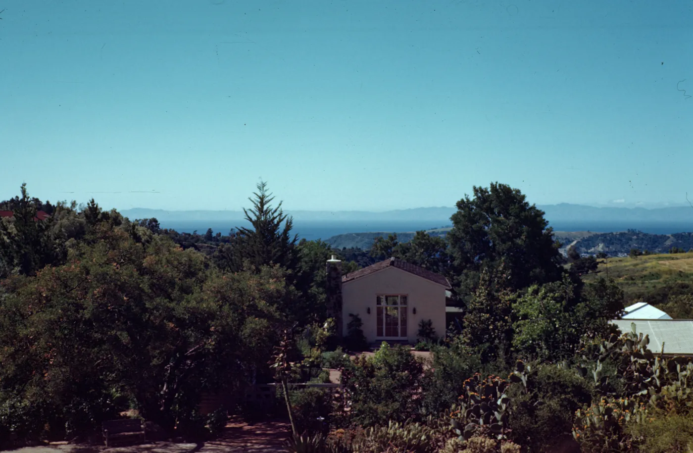 Santa Cruz Island and ocean view view from SBBG