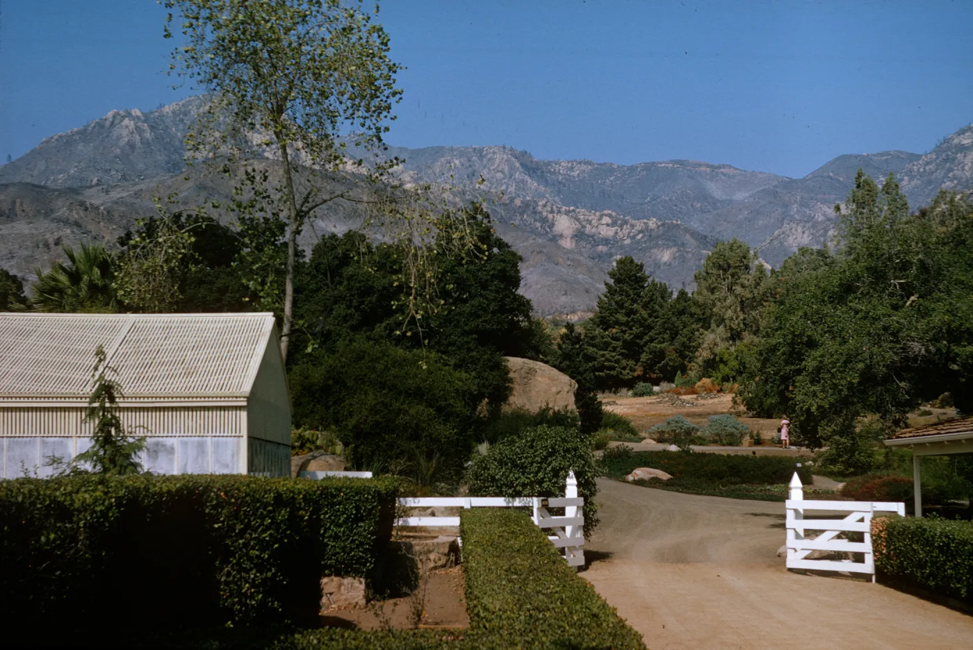 Meadow & courtyard, the Garden in fall