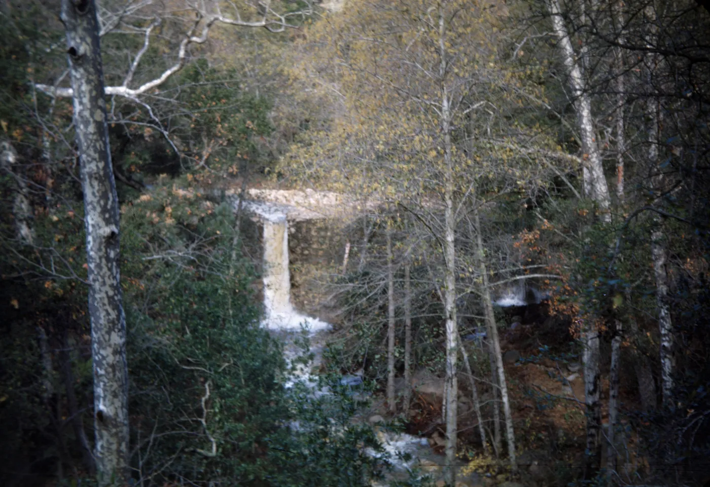 Canyon and Mission Dam