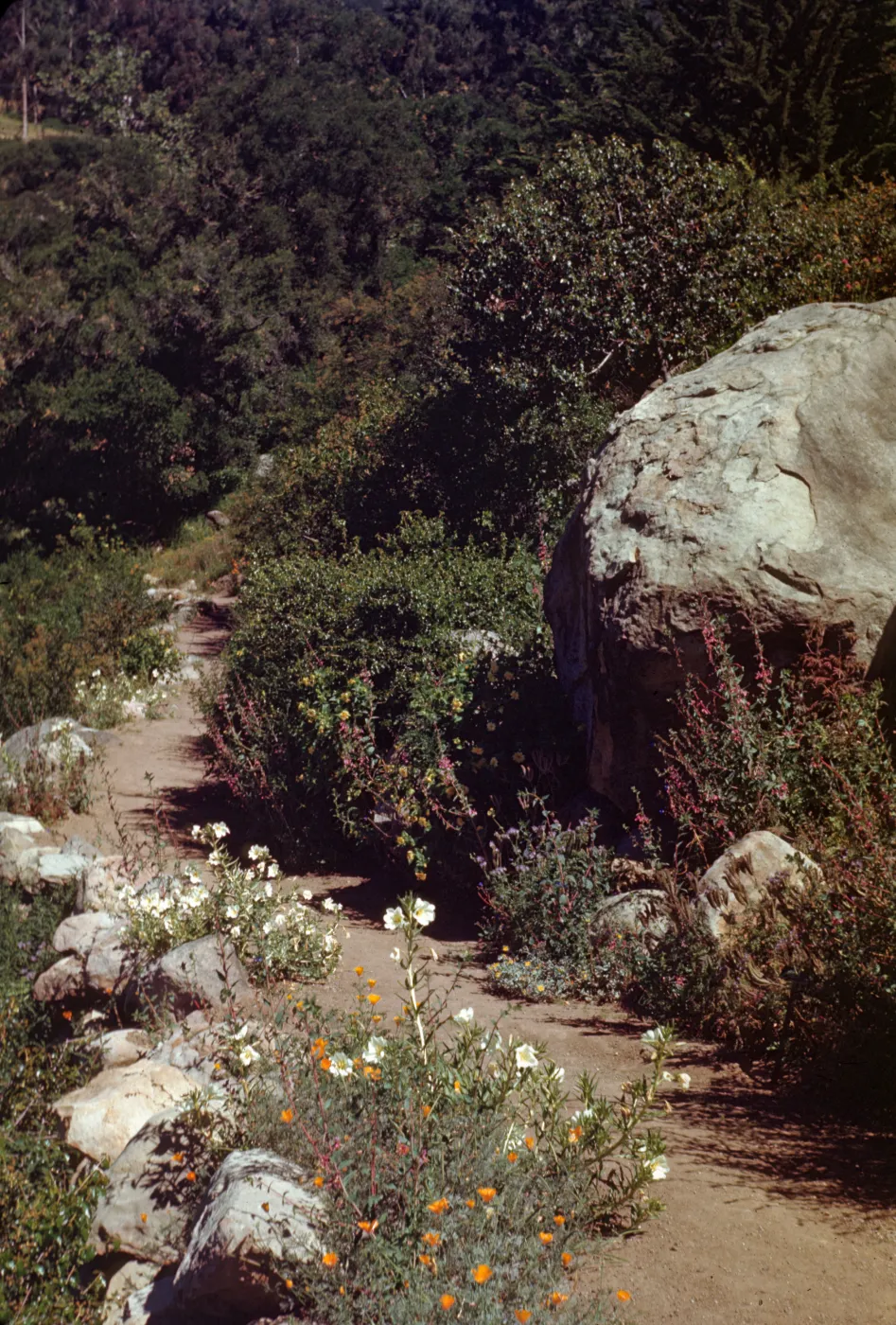 Campbell Trail