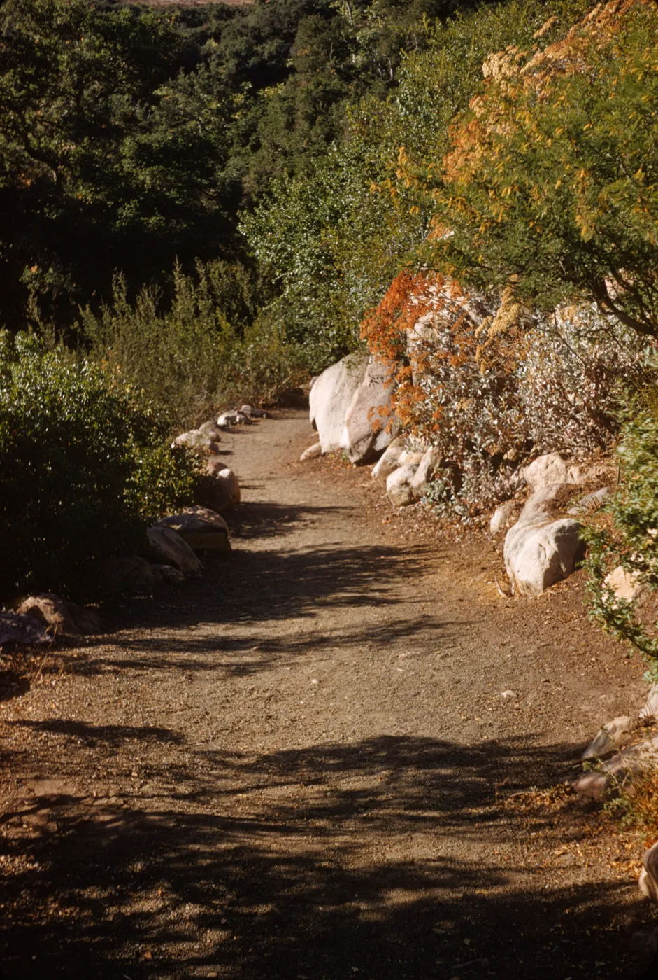 Campbell Trail