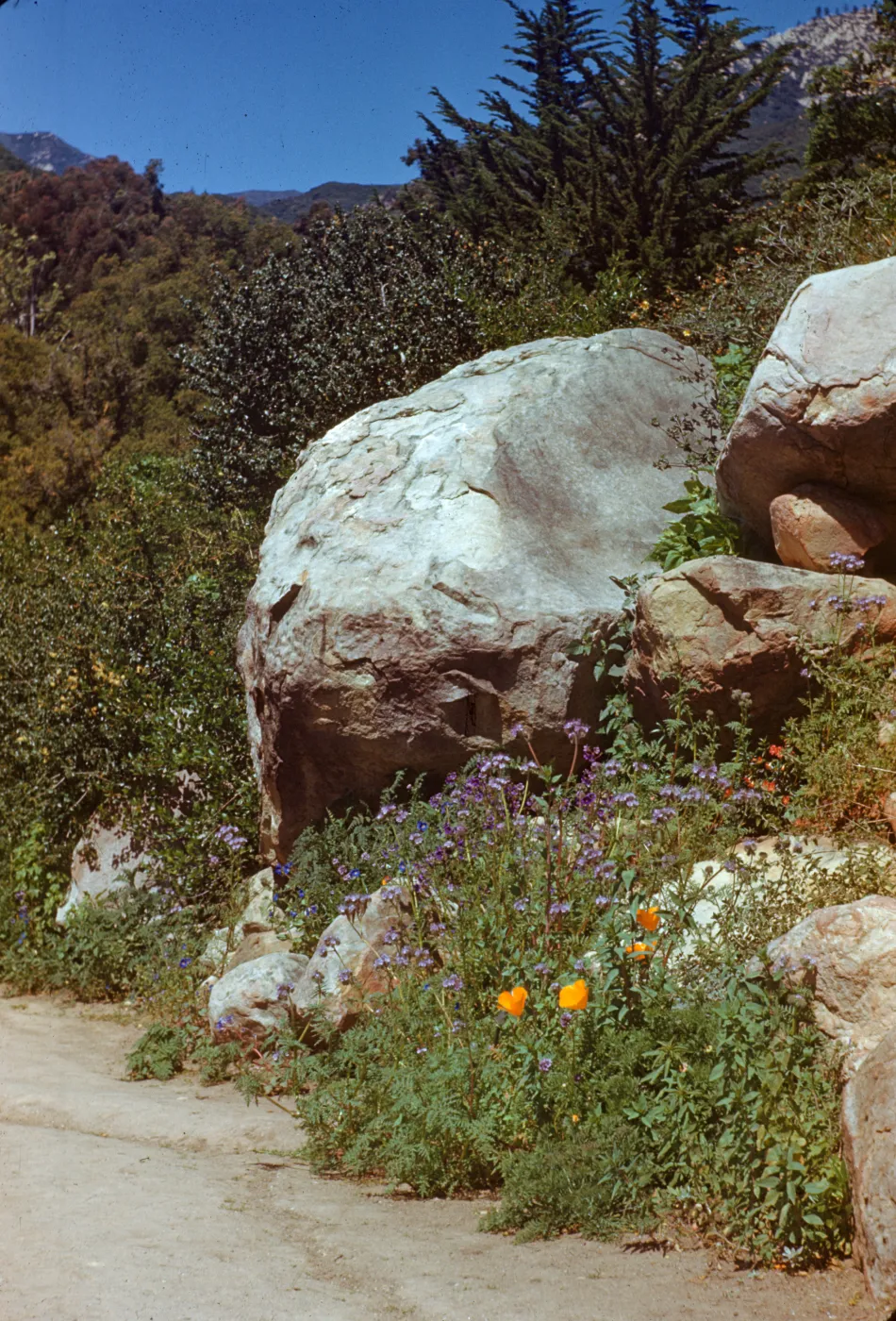 Head of Campbell Trail