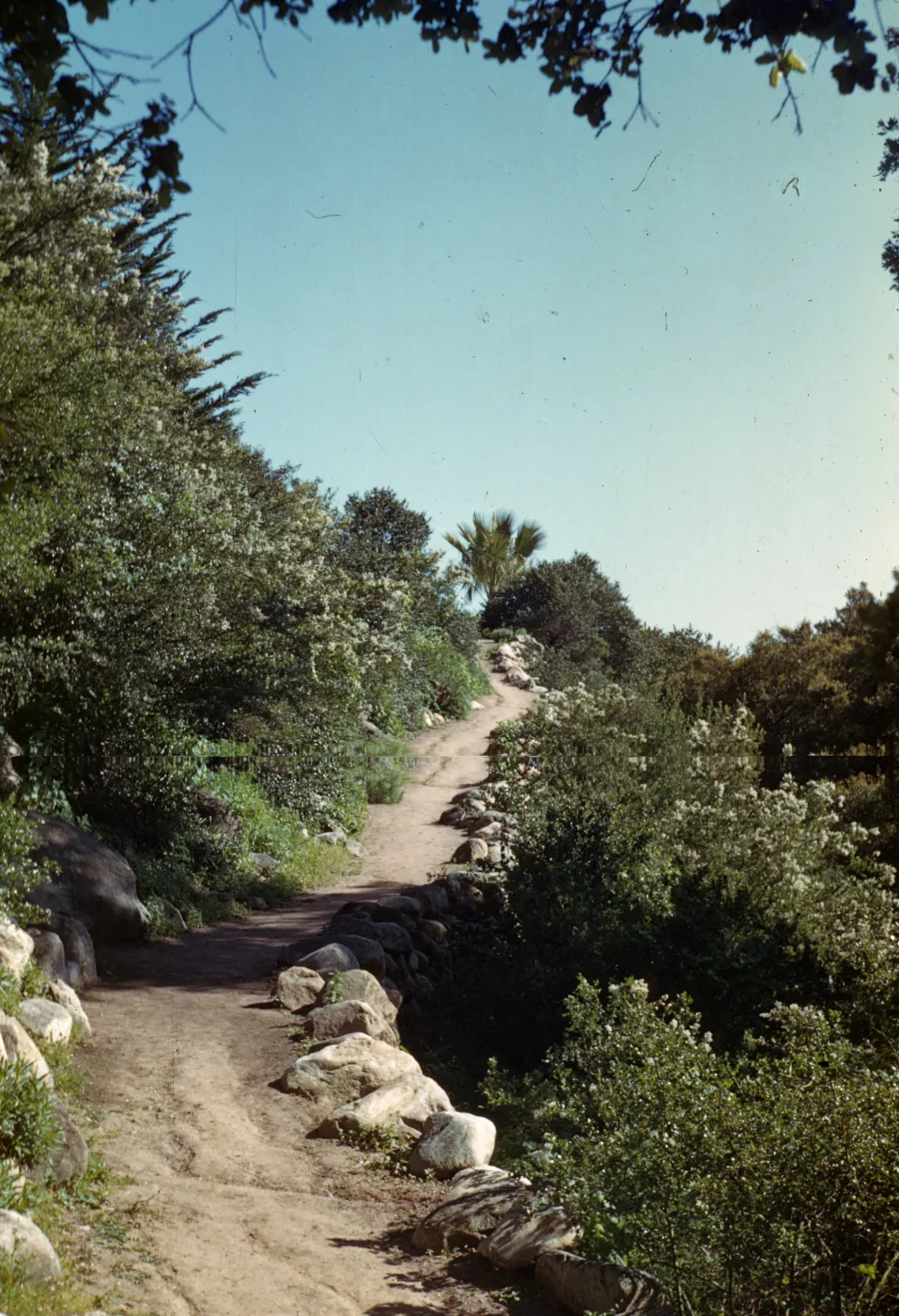 Campbell Trail, view up to Desert Section