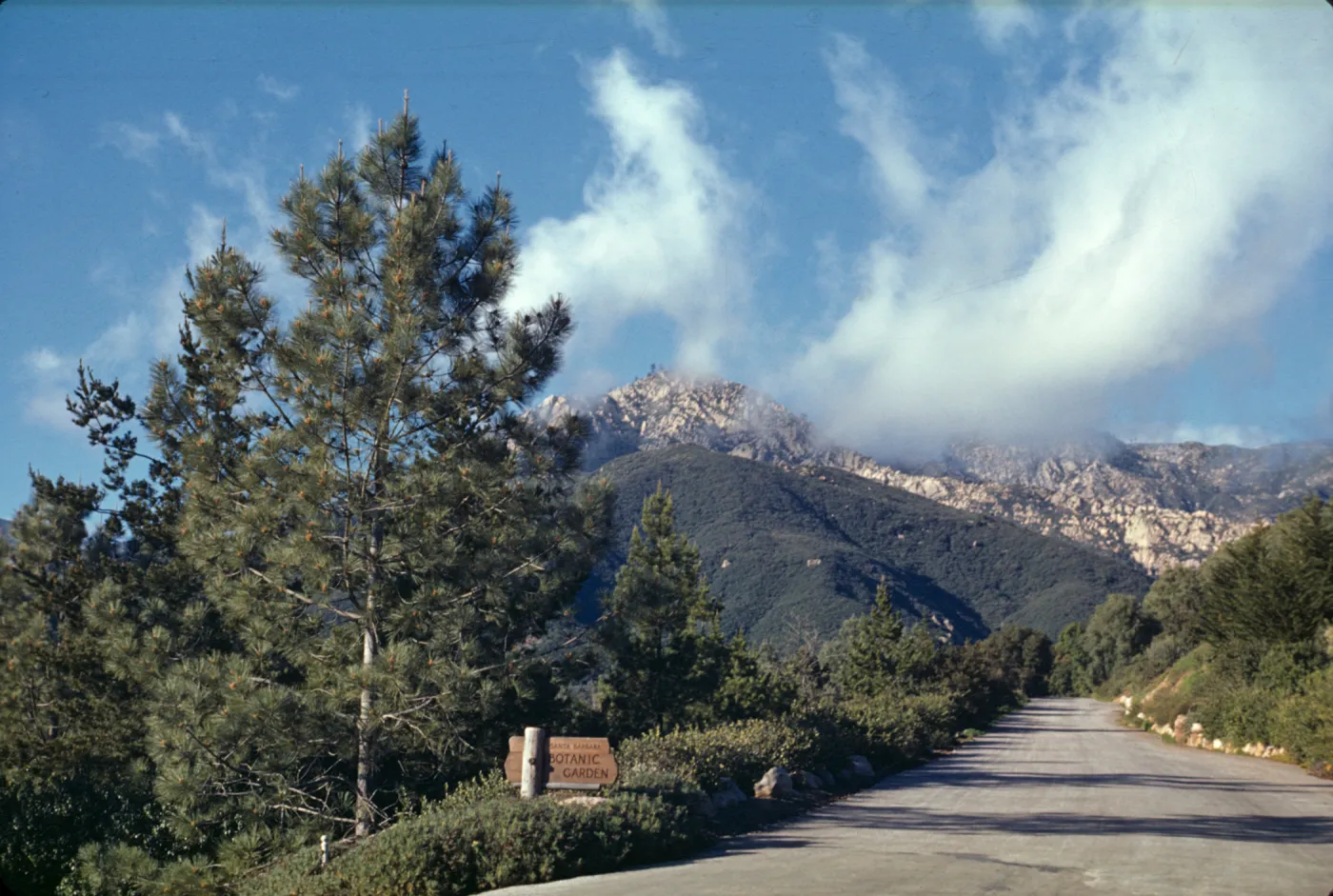 Mission Canyon Road in front of Garden, old driveway entrance