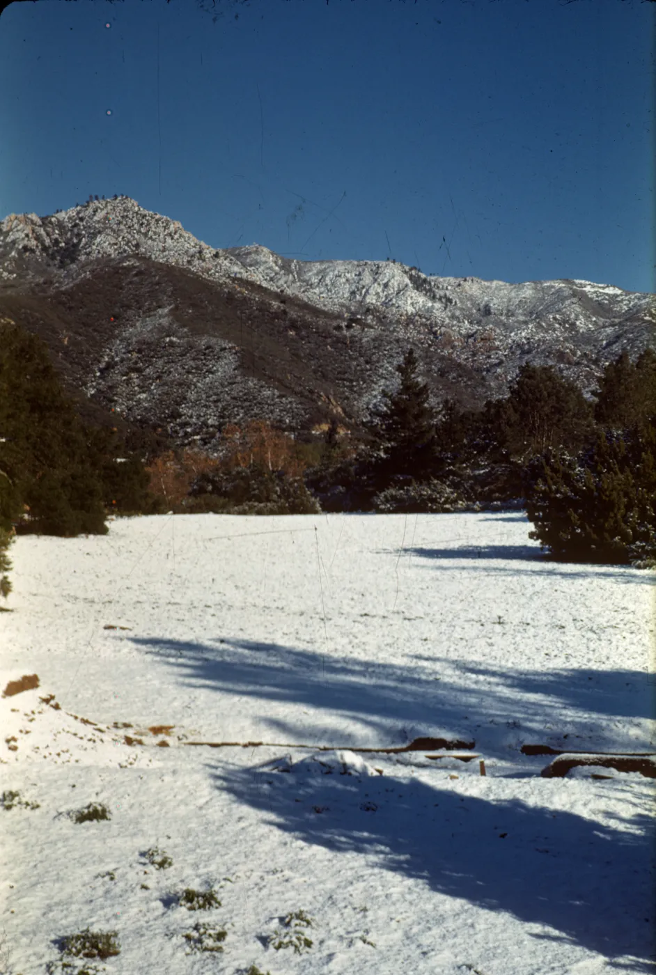 Garden Meadow in Snow, January 1949