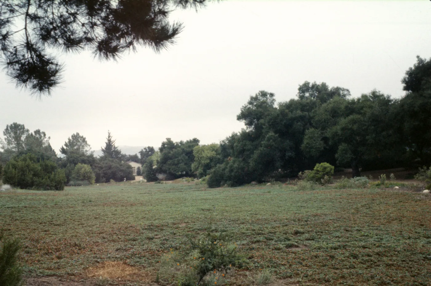 Meadow view south to the Blaksley Library