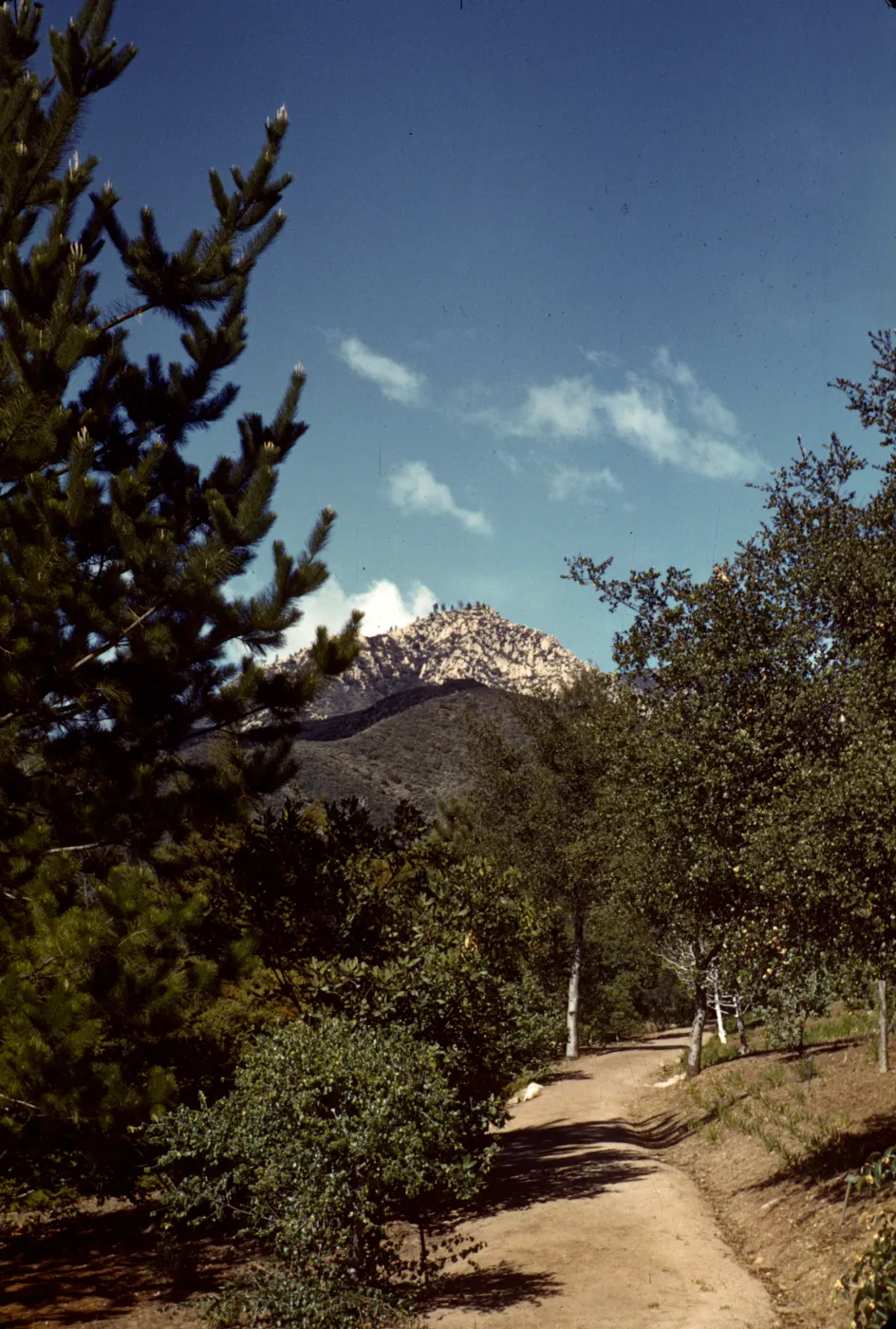 Old Foothill Section