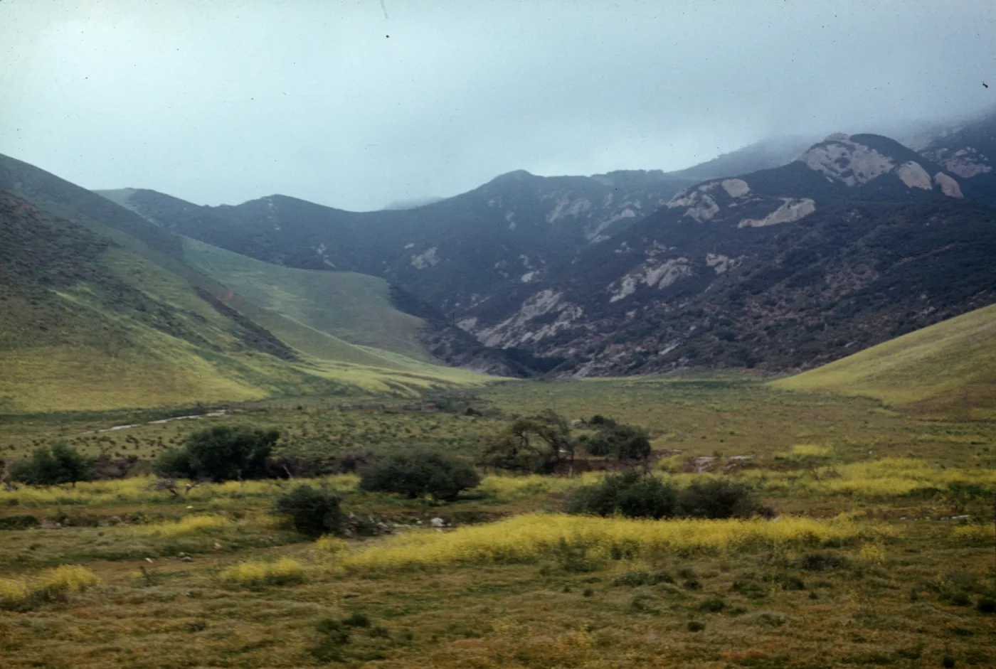 Gaviota Hills