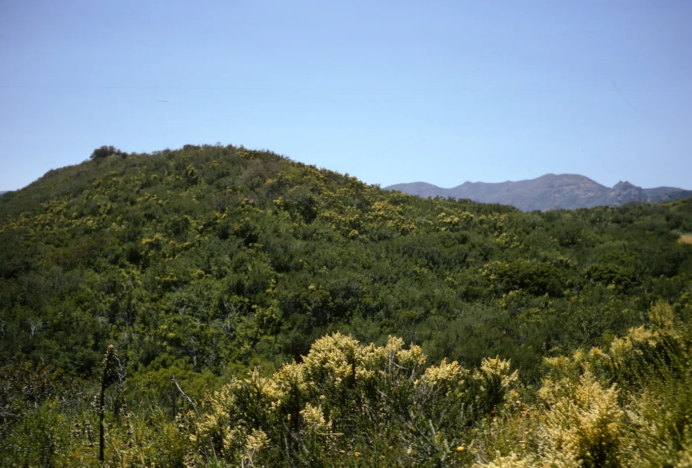 Santa Monica Mountains