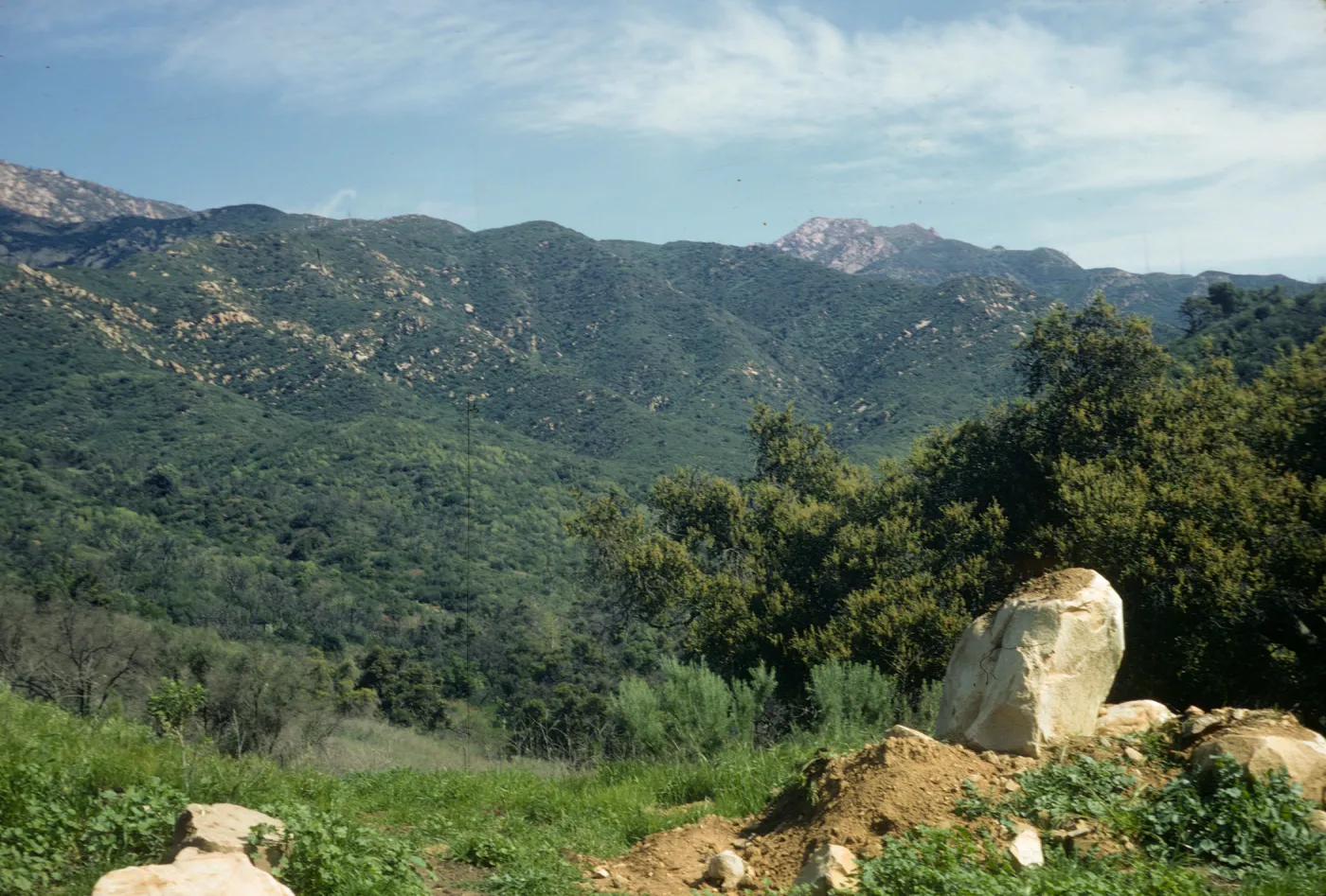 chaparral near Point Mugu