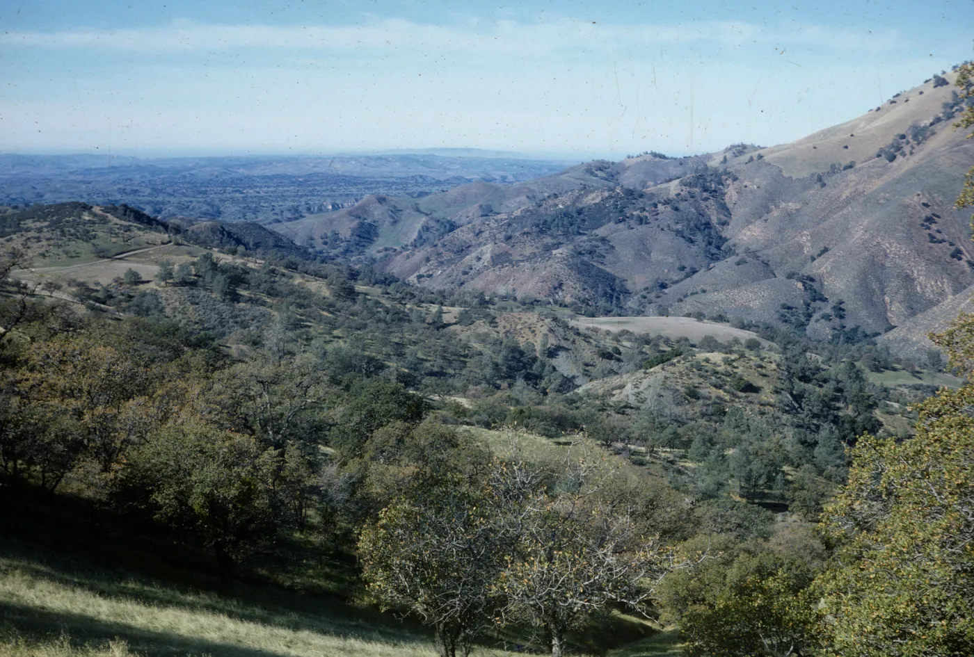 Figueroa Mountain