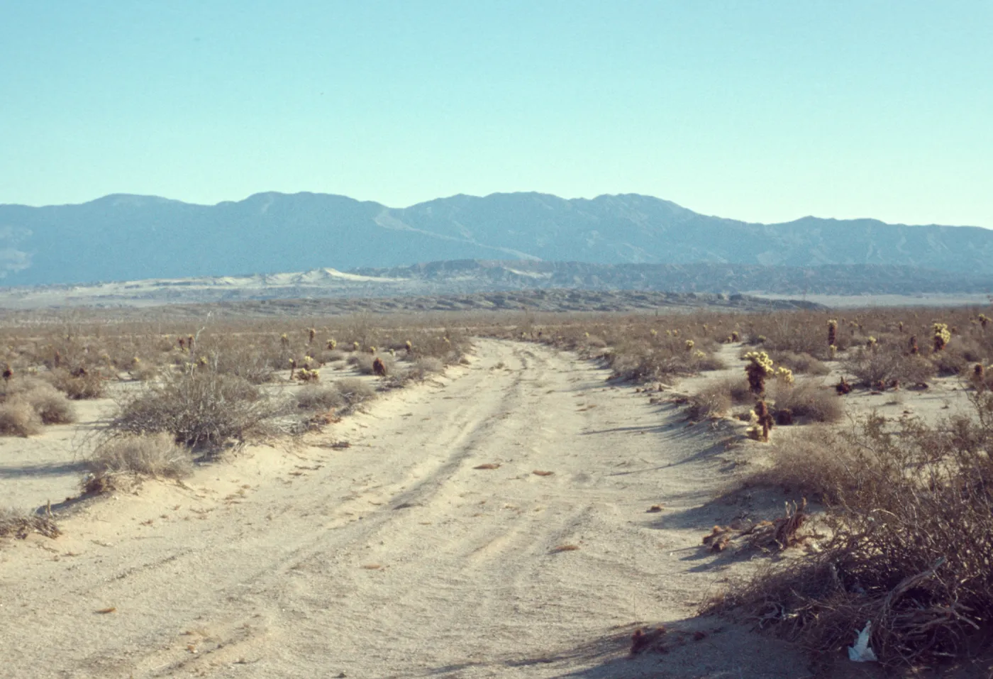 Vallecito Mountains, Borrego