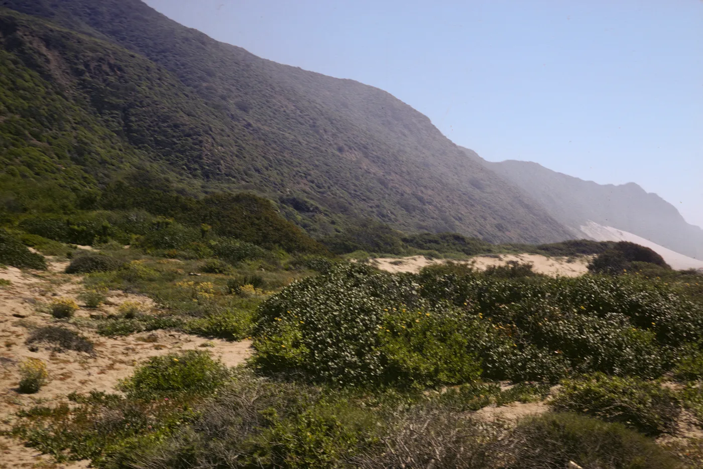 sand dunes, near Point Mugu