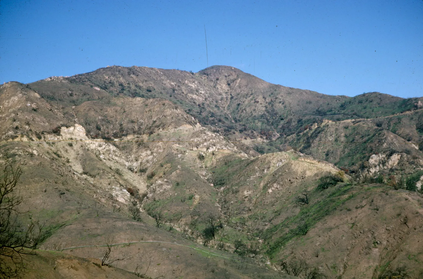 Coyote Fire 1964 burn area