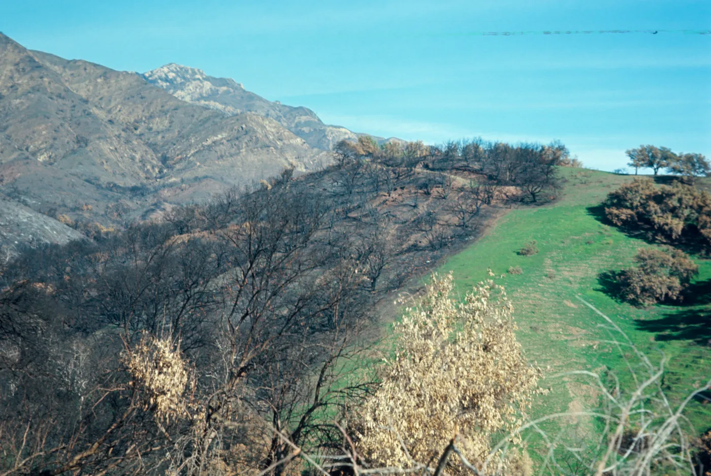 Coyote Fire 1964, Santa Ynez Mountains