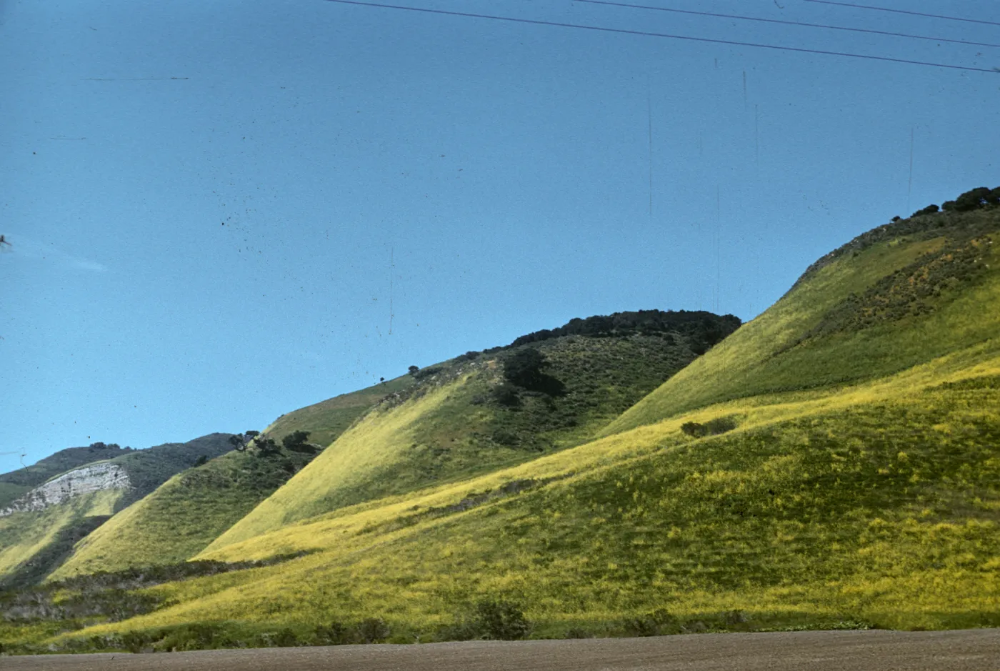 mustard covered hill slopes