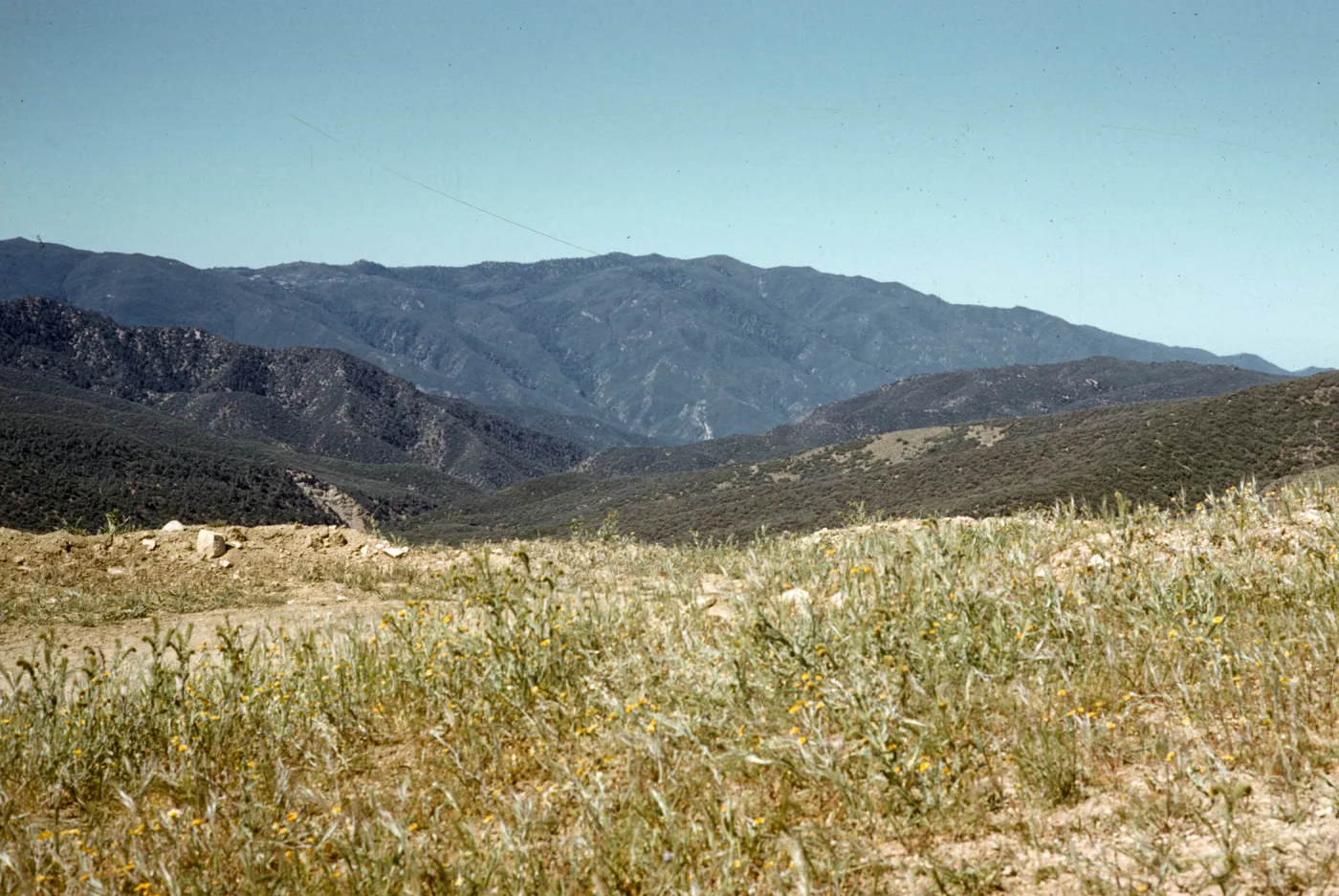view of Mission Pine from Salisbury Potrero, across Sisquoc River