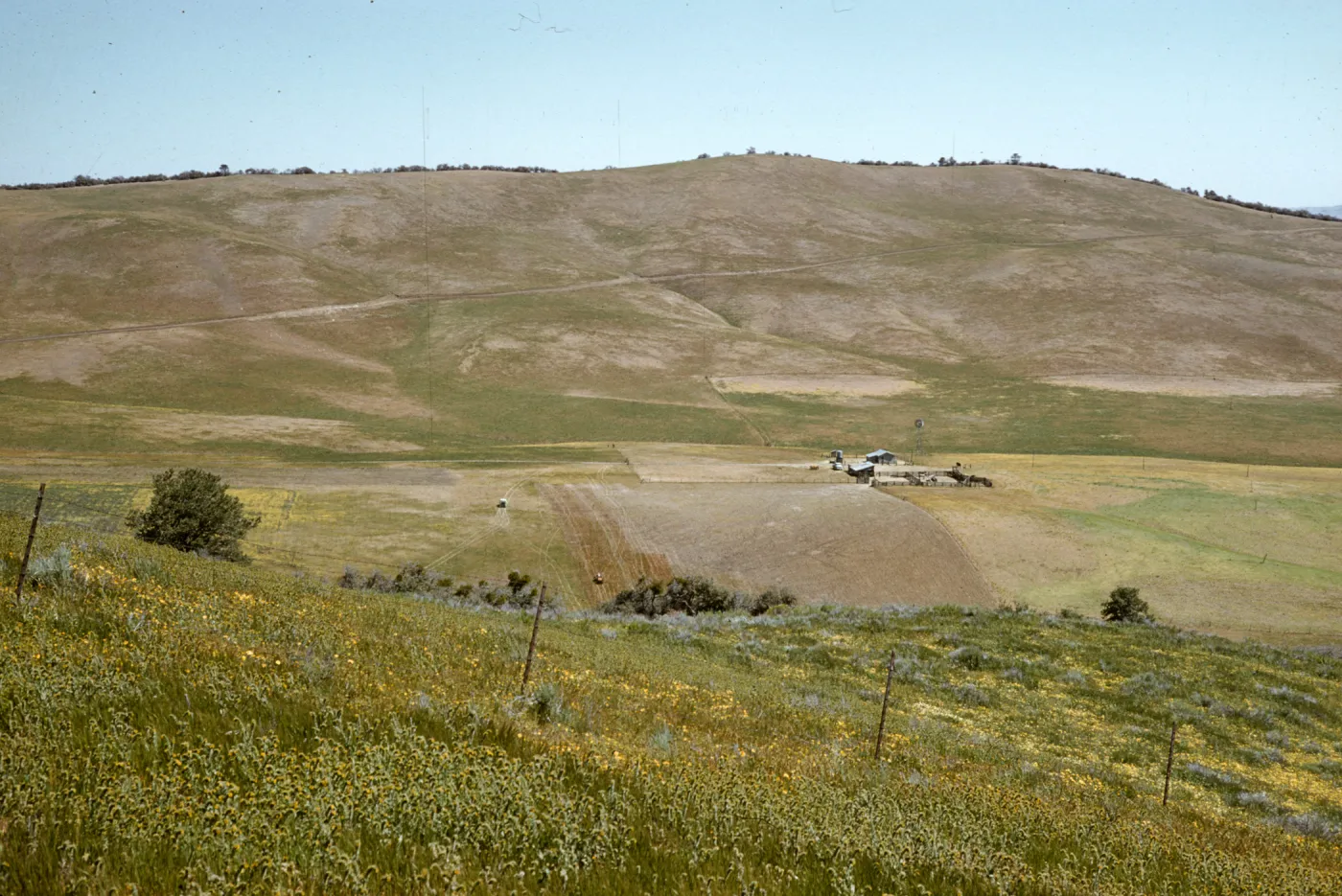 Reyes Ranch, Salisbury Potrero