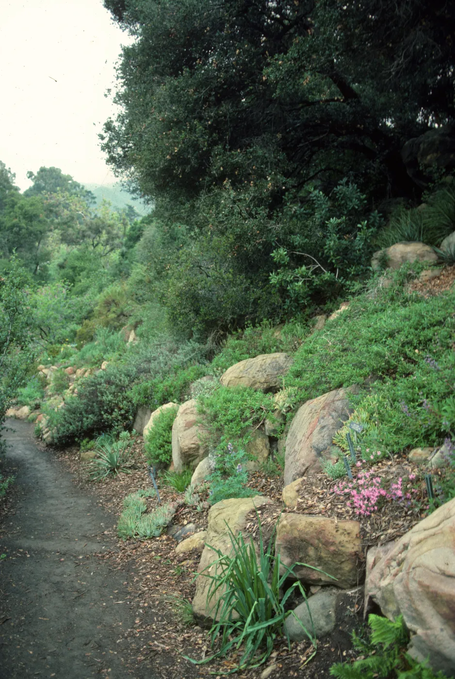 Campbell Trail