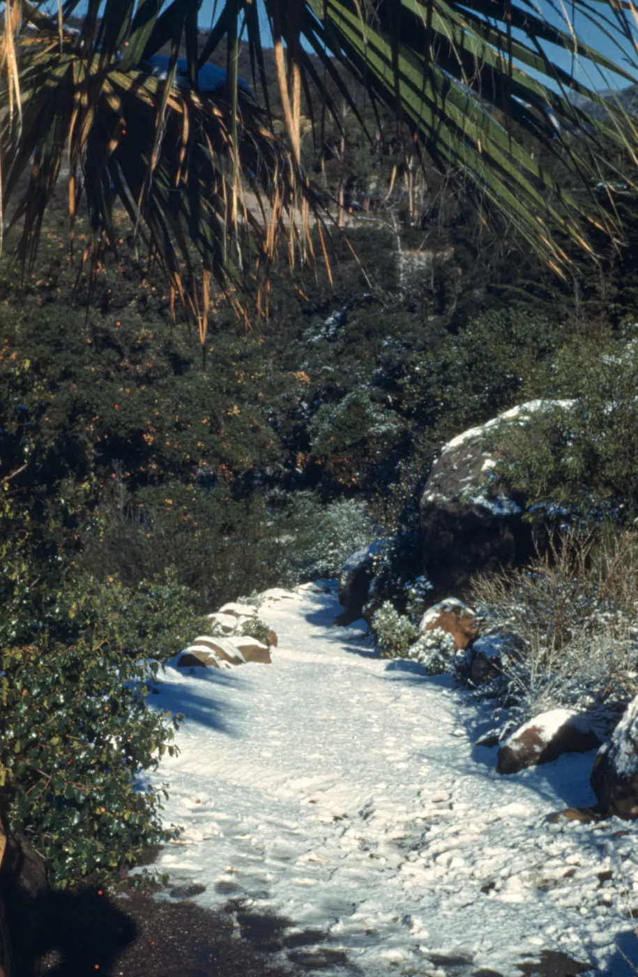 Campbell Trail with snow, 1949