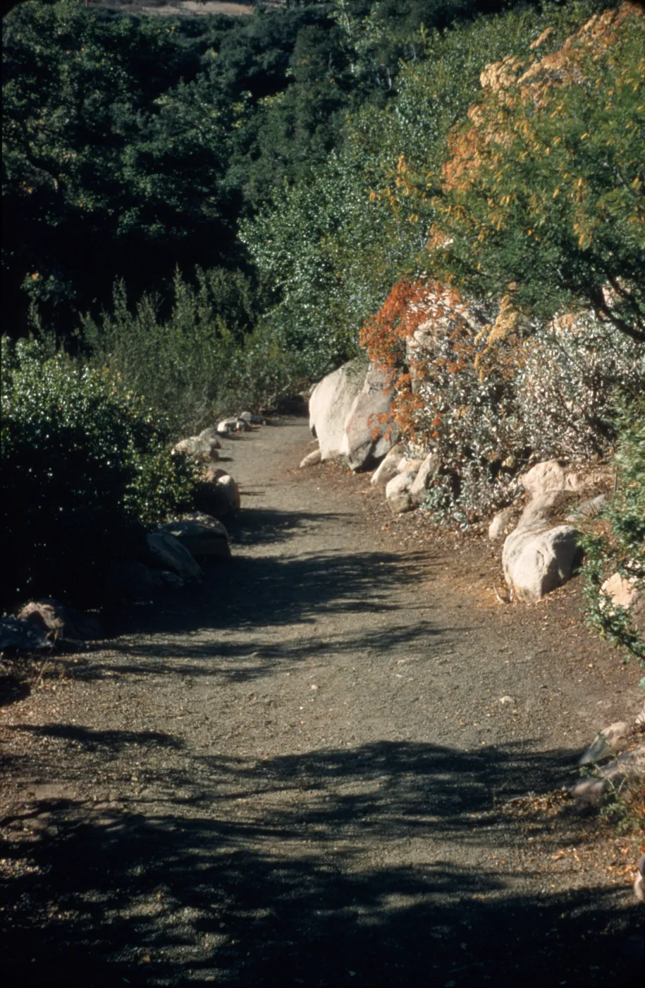 Campbell Trail