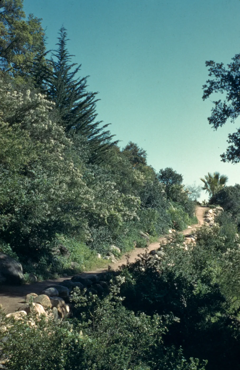 Campbell Trail