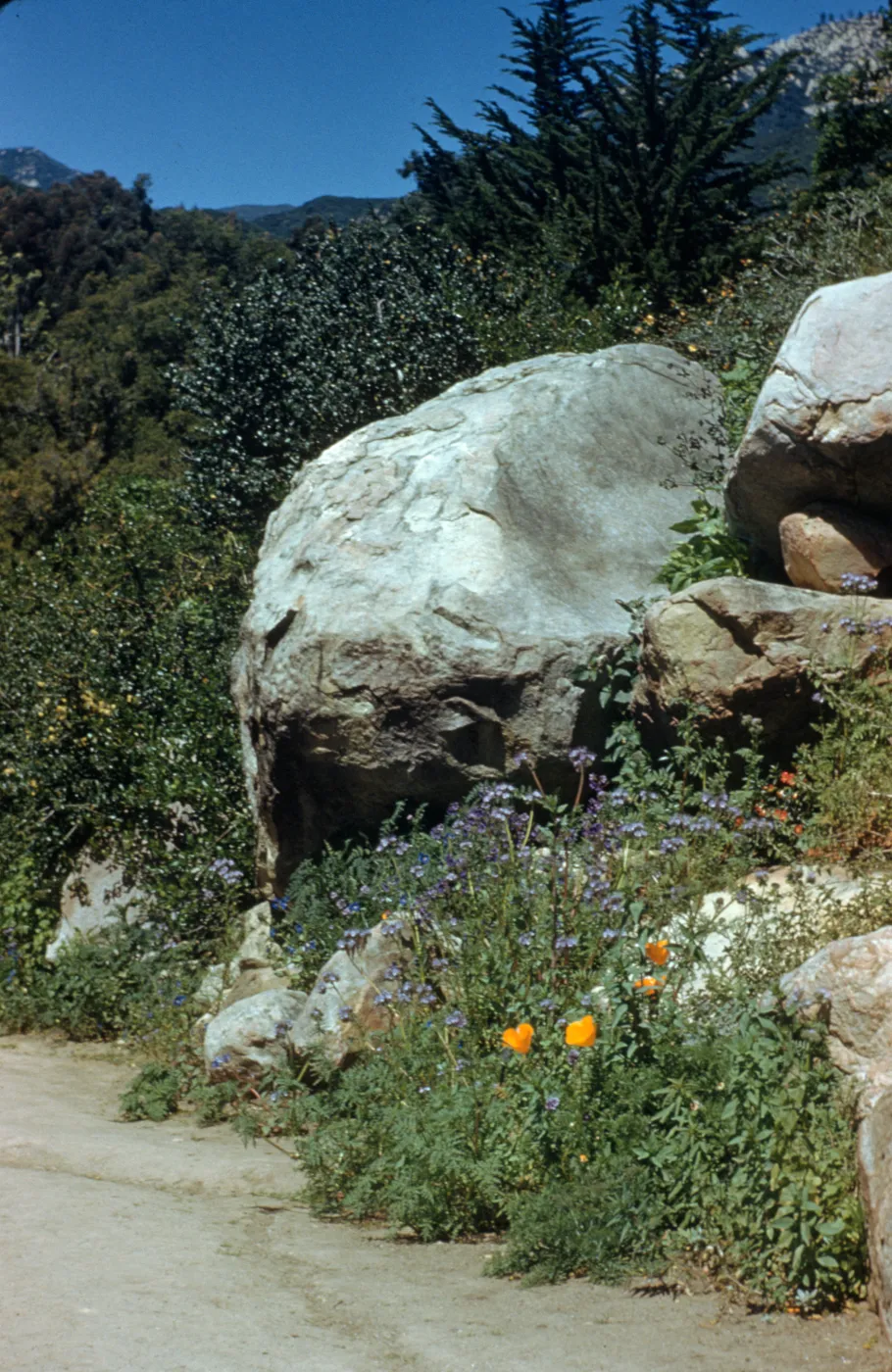 Campbell Trail boulder