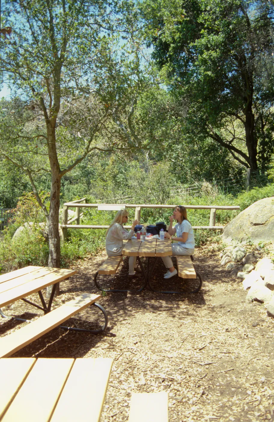 new picnic area, SBBG