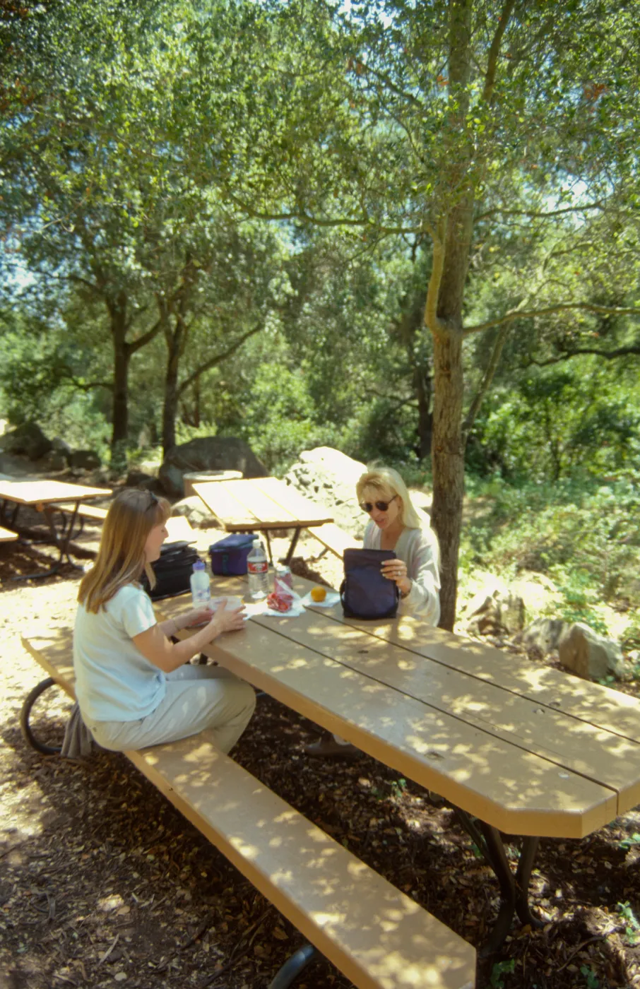 new picnic area, SBBG