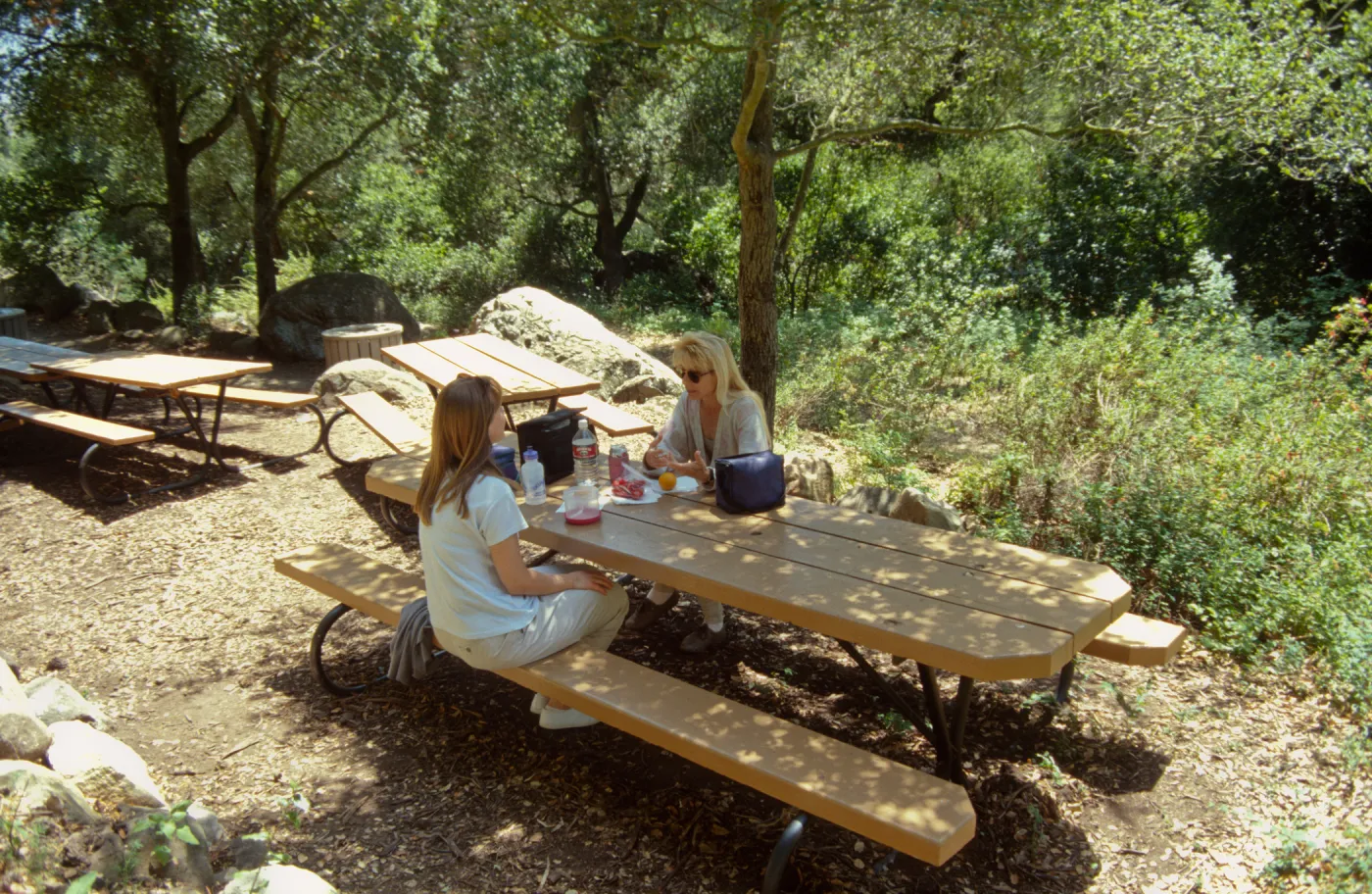 new picnic area, SBBG