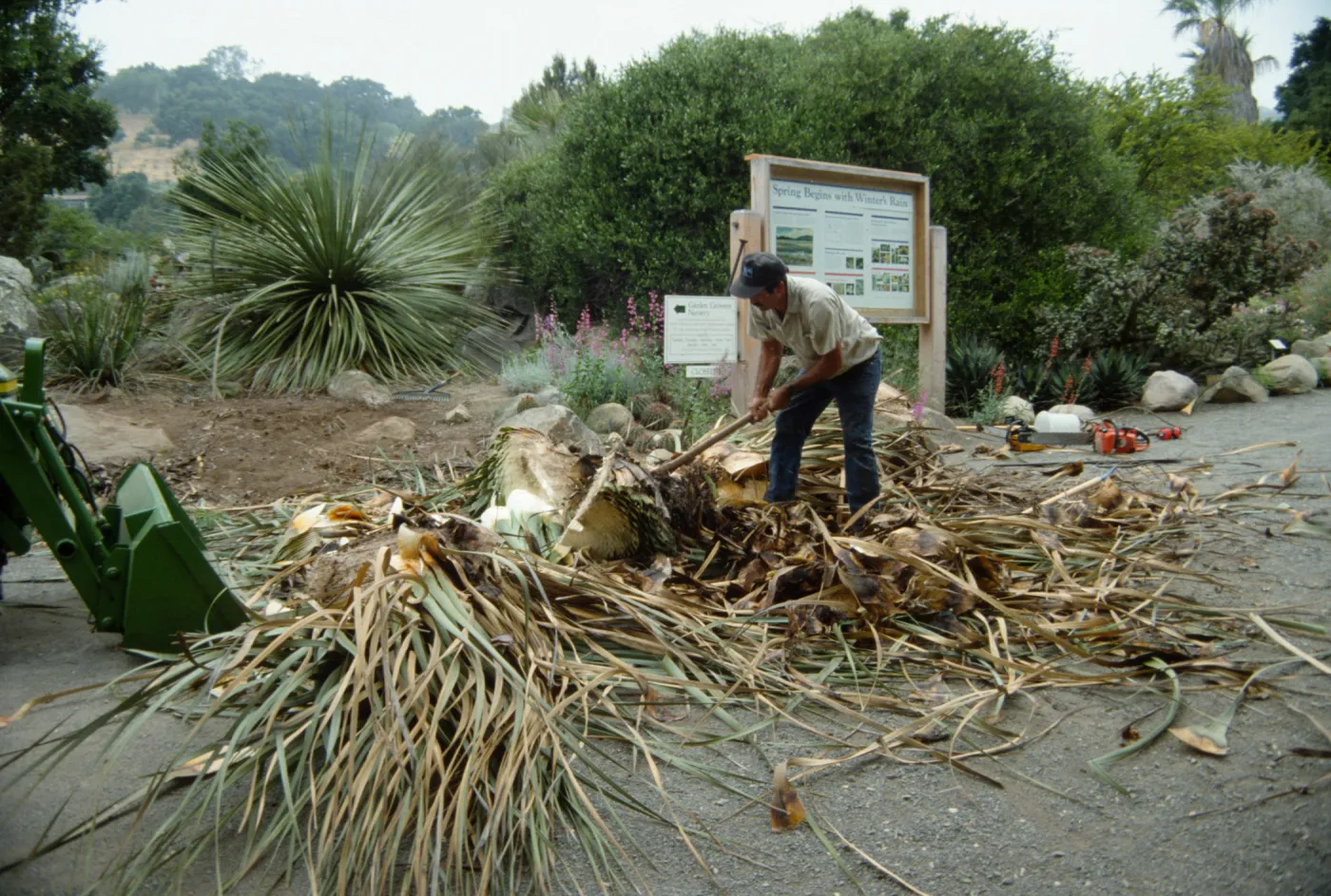 construction of the Desert Wash, SBBG