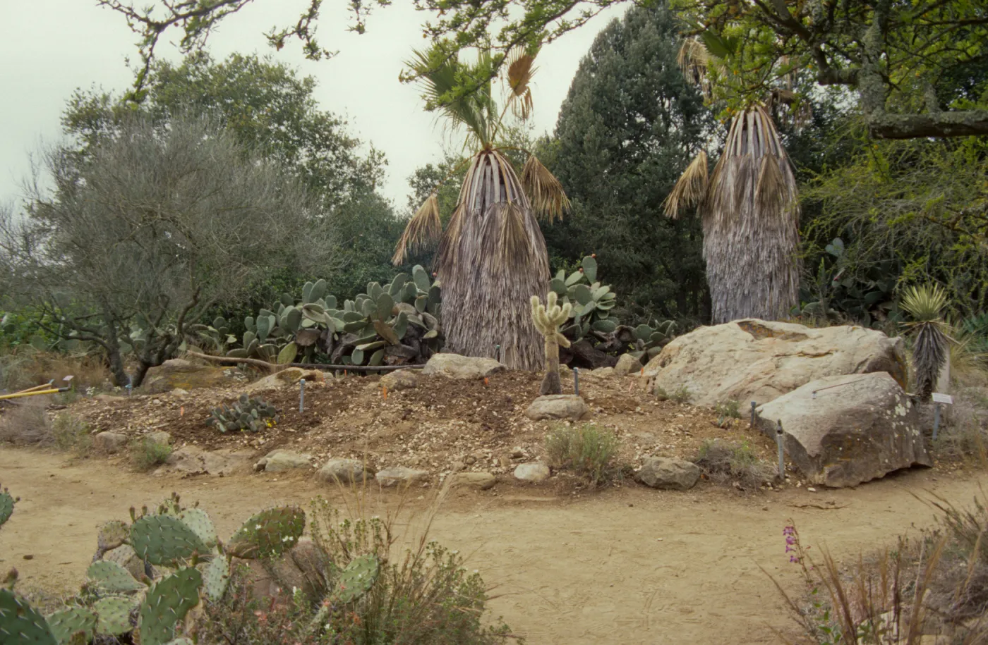 the Desert Mound, in progress