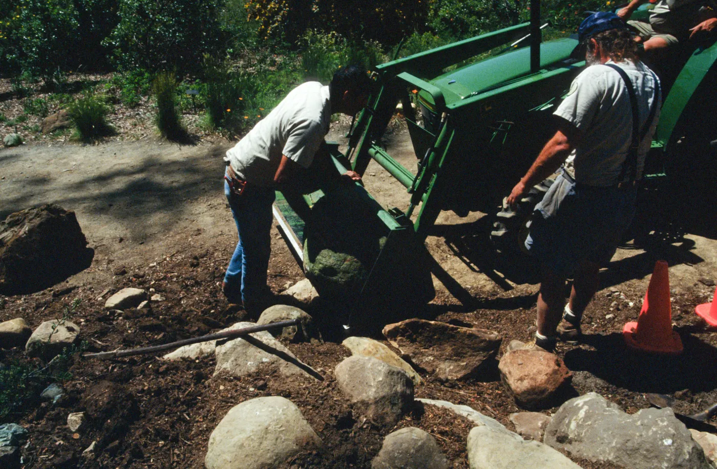 Constructing Dudleya Display