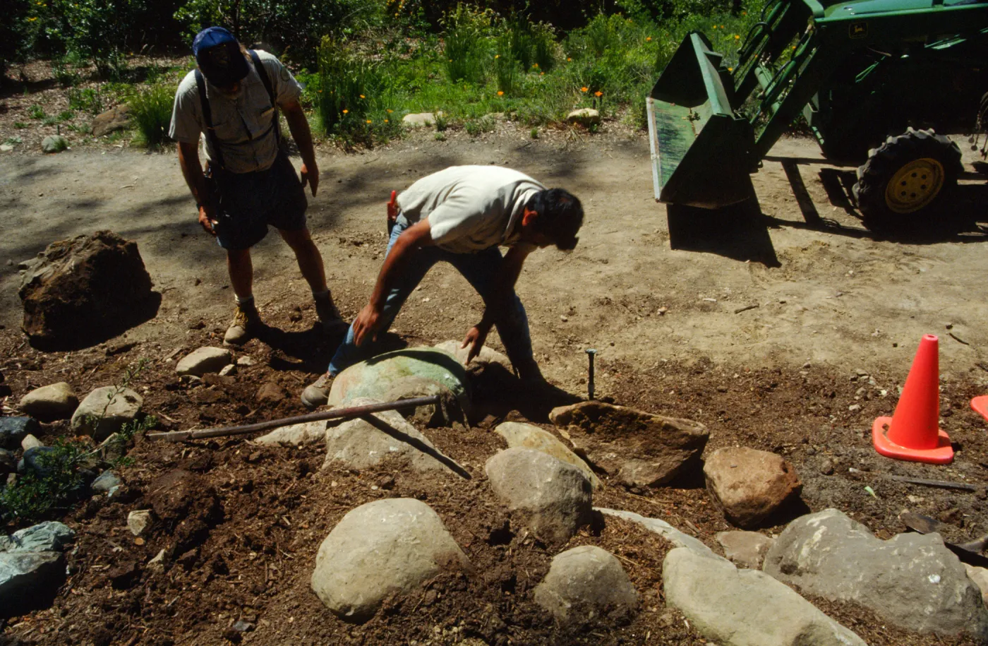 Constructing Dudleya Display