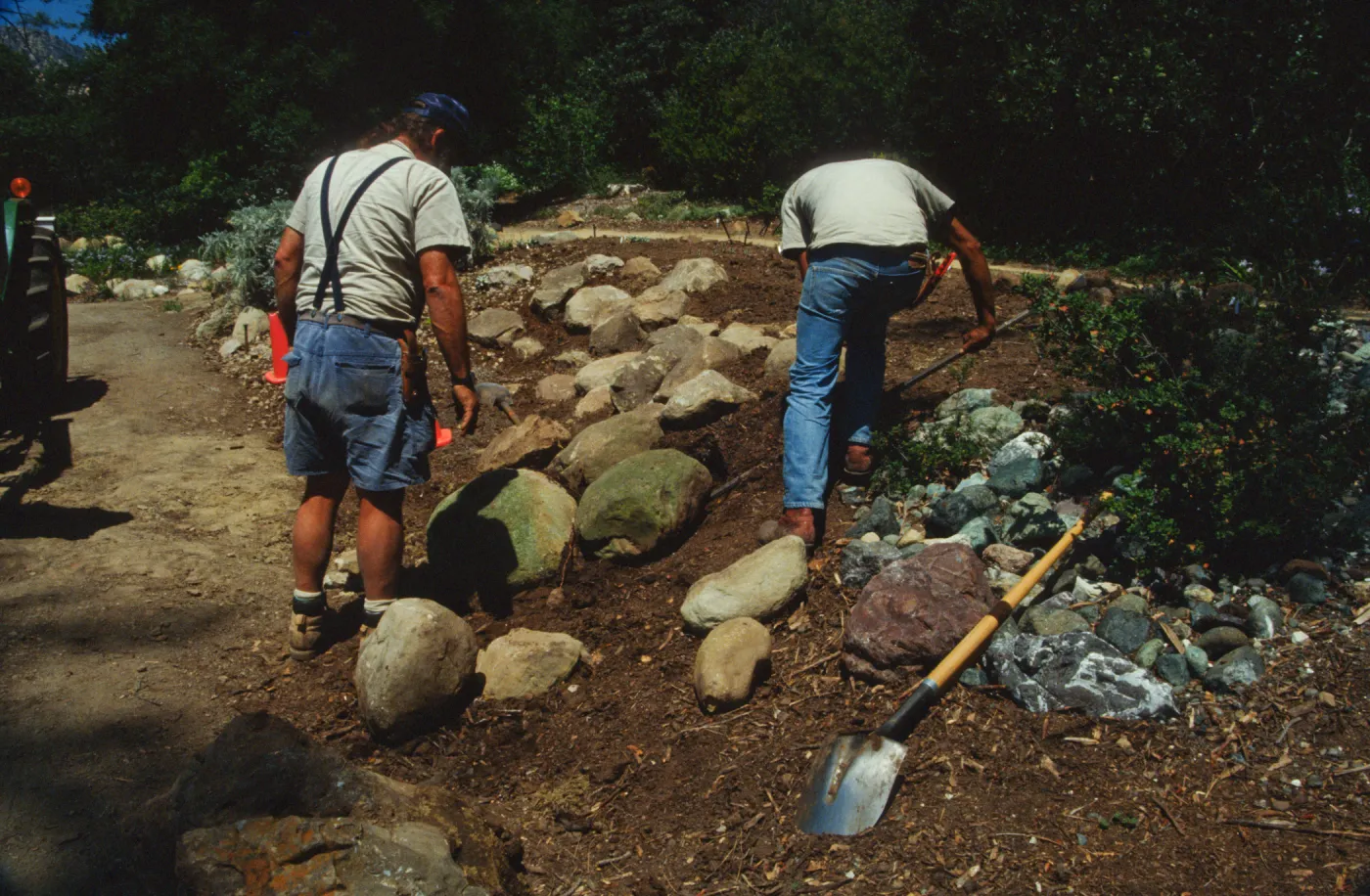 Constructing Dudleya Display