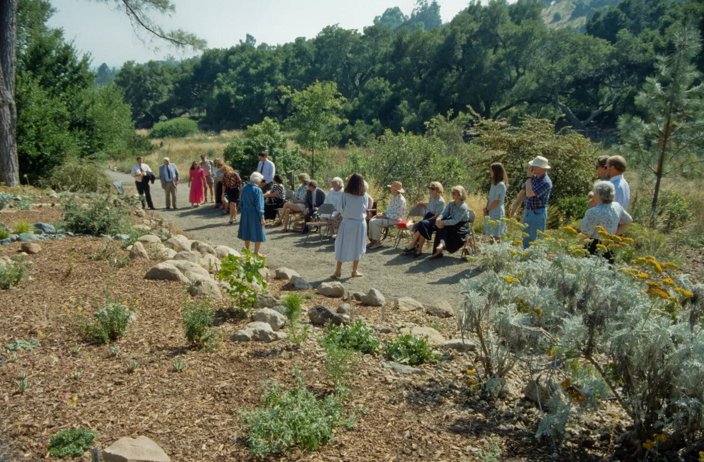 Dudleya Display Dedication