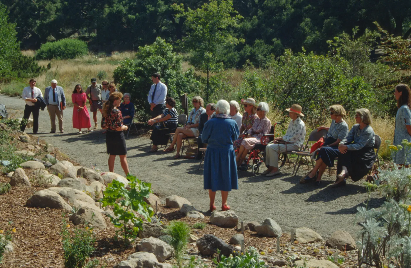 Dudleya Display Dedication