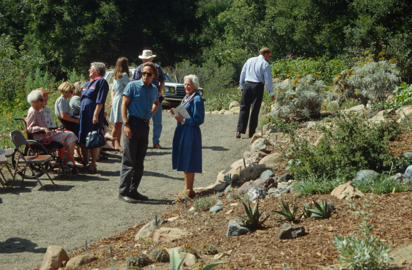 Dudleya Display Dedication