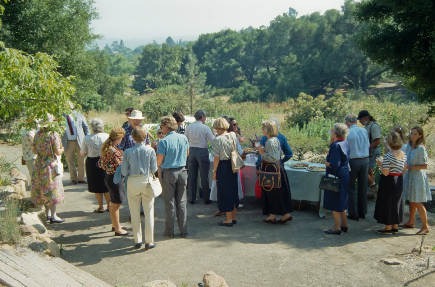 Dudleya Display Dedication