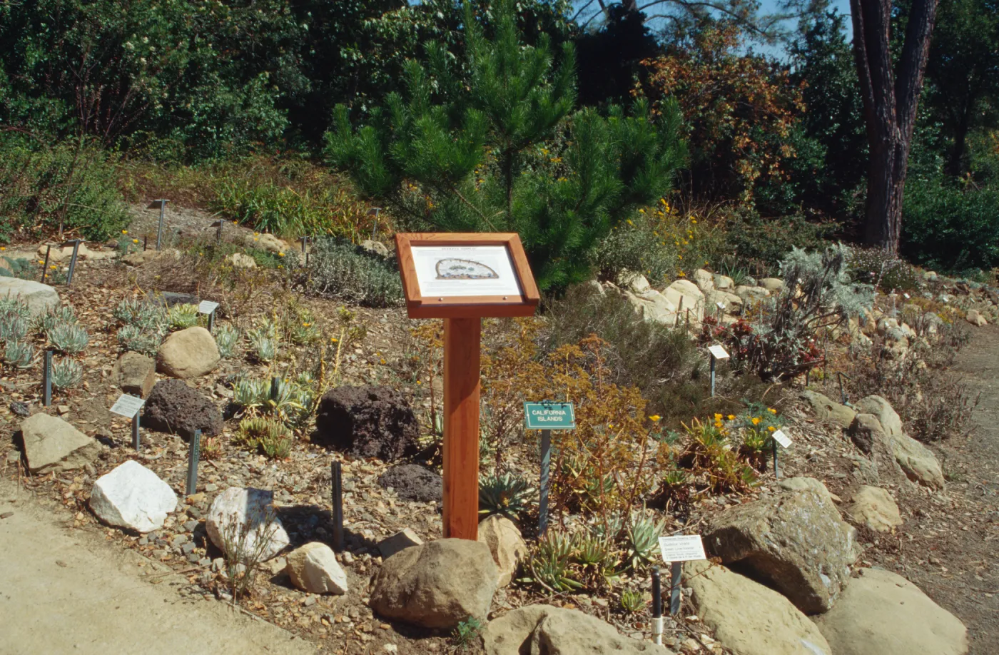 Dudleya Display Sign