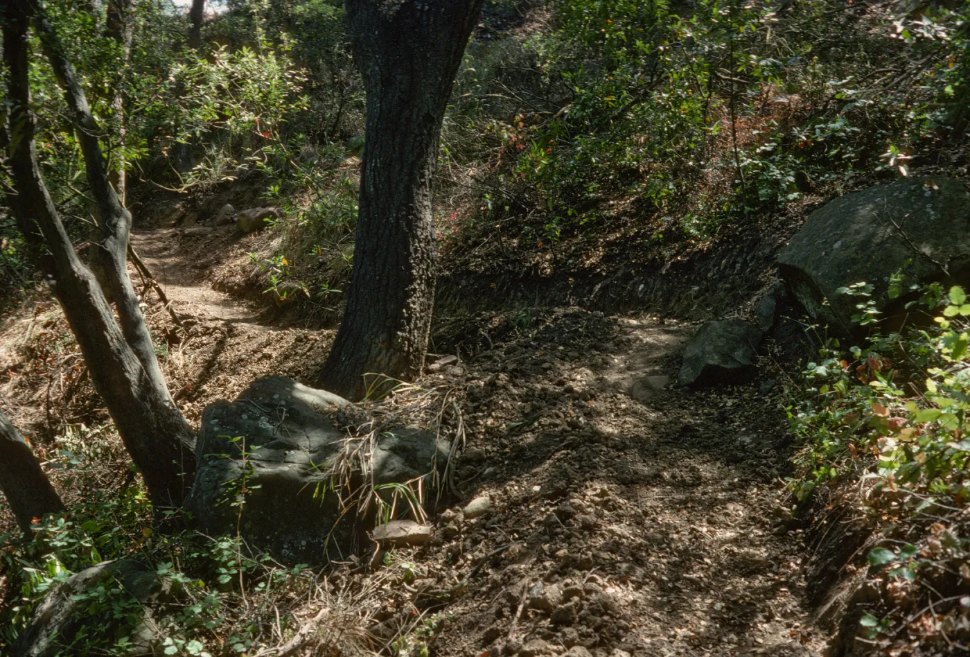 Easton Trail
