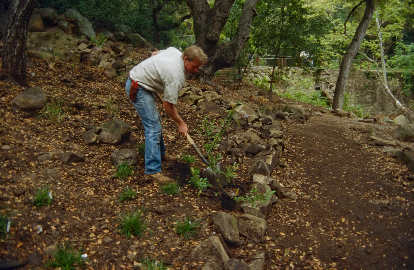 Preparing Ethnobotanical Display Area